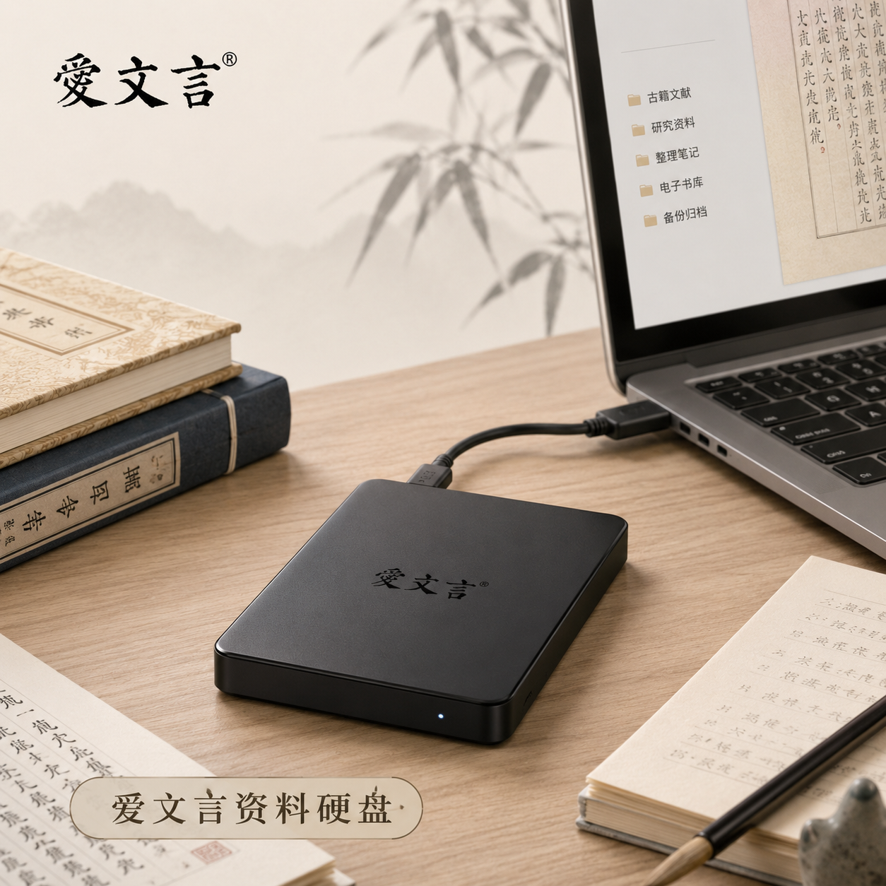 爱文言资料硬盘