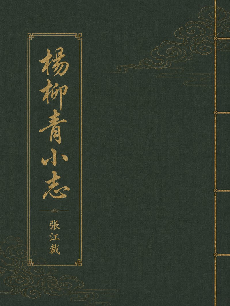 杨柳青小志