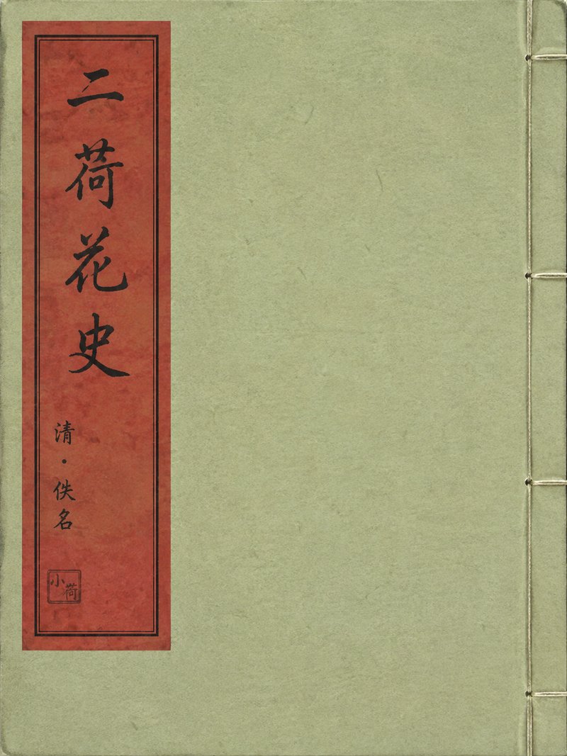 二荷花史