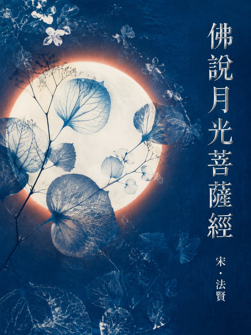 佛说月光菩萨经